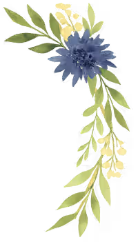 dekorativní květina